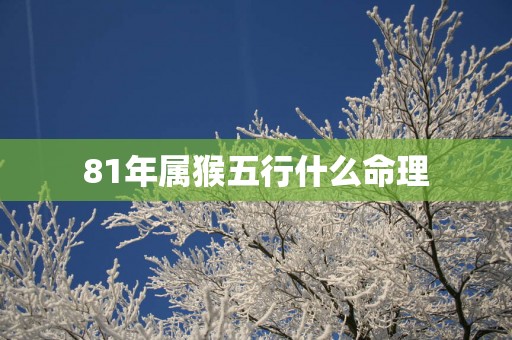 81年属猴五行什么命理