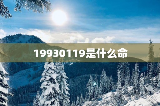 19930119是什么命