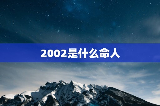 2002是什么命人