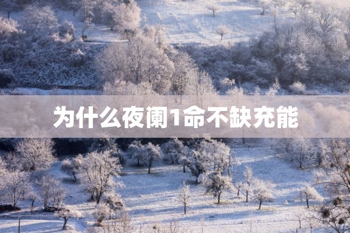 为什么夜阑1命不缺充能