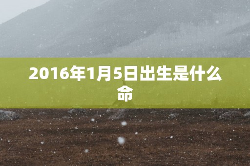 2016年1月5日出生是什么命