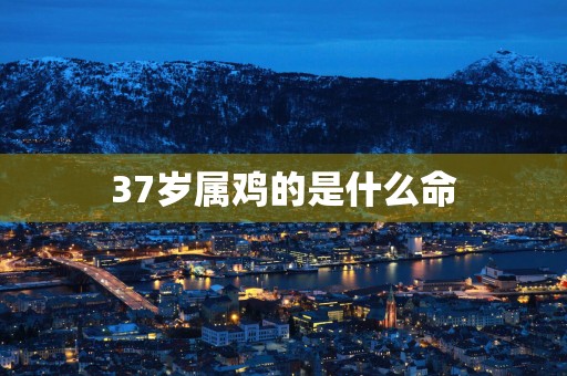 37岁属鸡的是什么命