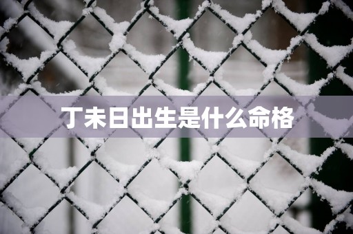 丁未日出生是什么命格