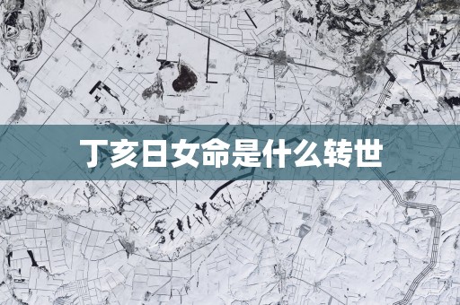丁亥日女命是什么转世