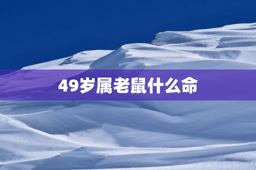 49岁属老鼠什么命