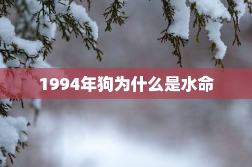 1994年狗为什么是水命