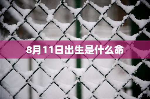 8月11日出生是什么命