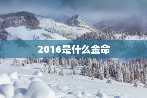 2016是什么金命
