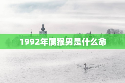 1992年属猴男是什么命