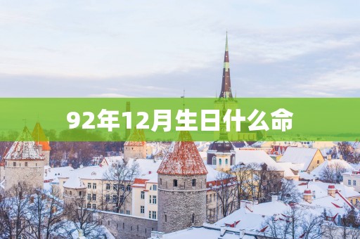 92年12月生日什么命