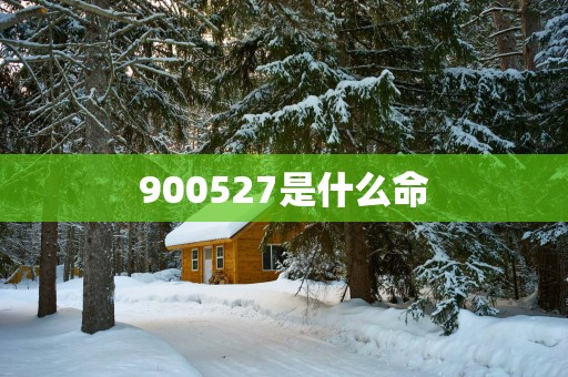 900527是什么命