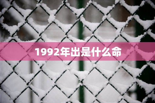 1992年出是什么命