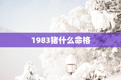 1983猪什么命格