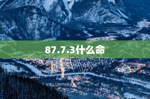 87.7.3什么命