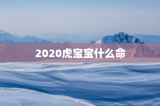 2025虎宝宝什么命