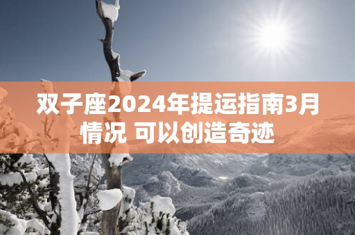 双子座2025年提运指南3月情况 可以创造奇迹