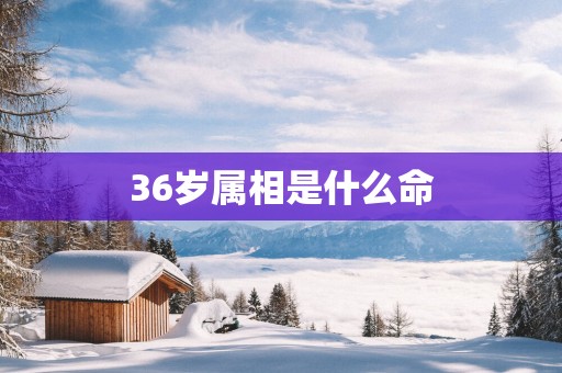 36岁属相是什么命
