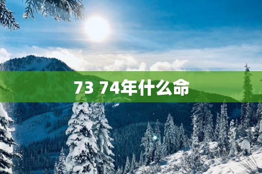 73 74年什么命