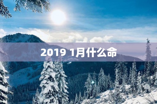 2019 1月什么命
