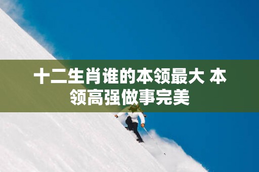 十二生肖谁的本领最大 本领高强做事完美