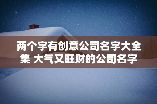 两个字有创意公司名字大全集 大气又旺财的公司名字