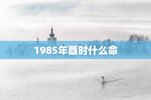 1985年酉时什么命