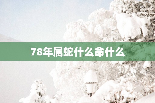 78年属蛇什么命什么