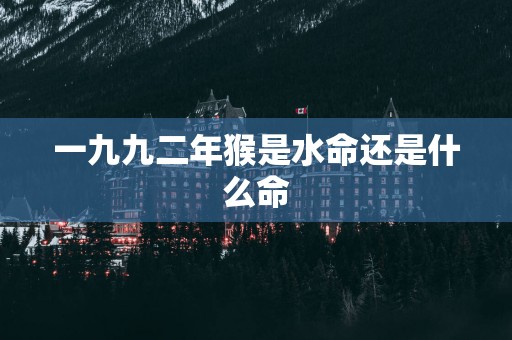 一九九二年猴是水命还是什么命