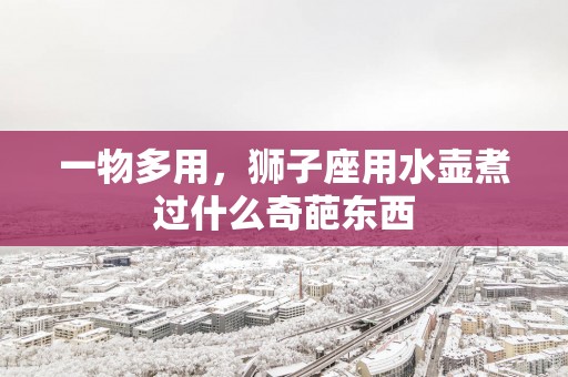 一物多用，狮子座用水壶煮过什么奇葩东西
