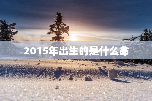 2015年出生的是什么命