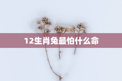 12生肖兔最怕什么命