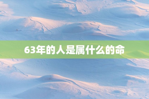 63年的人是属什么的命