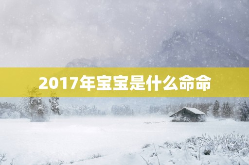 2017年宝宝是什么命命