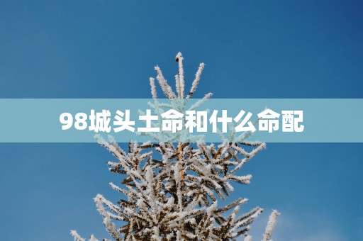 98城头土命和什么命配