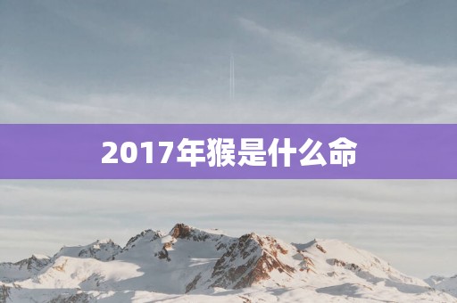 2017年猴是什么命
