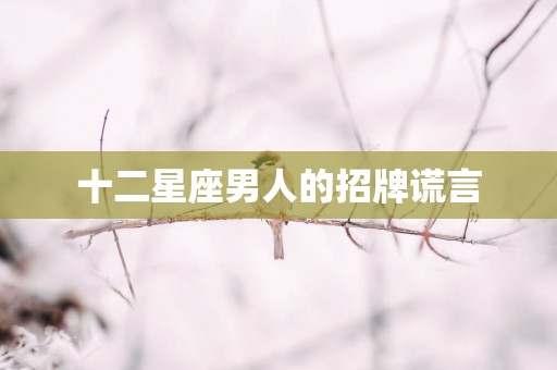 十二星座男人的招牌谎言