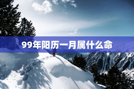 99年阳历一月属什么命