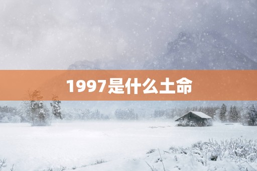 1997是什么土命