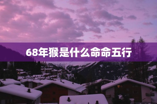 68年猴是什么命命五行