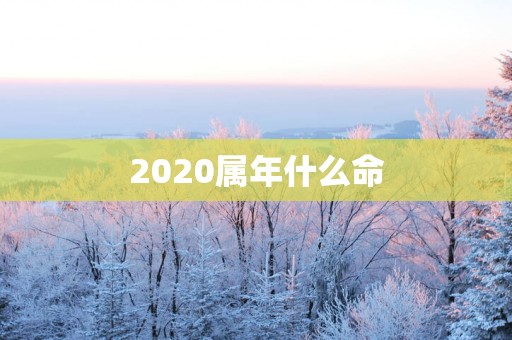 2025属年什么命