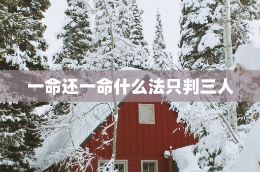 一命还一命什么法只判三人