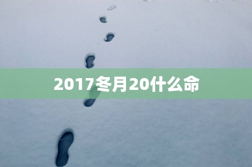 2017冬月20什么命