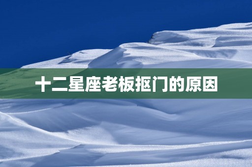 十二星座老板抠门的原因