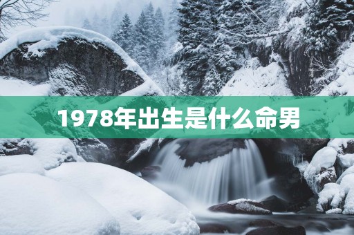 1978年出生是什么命男