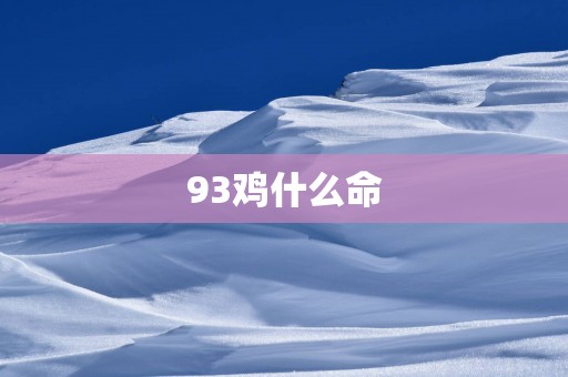 93鸡什么命