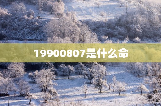 19900807是什么命