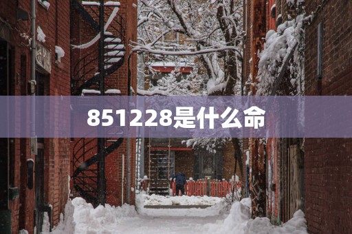 851228是什么命