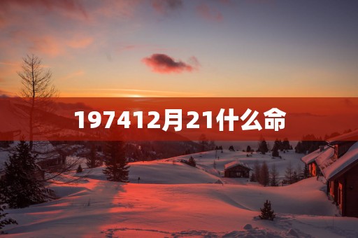 197412月21什么命