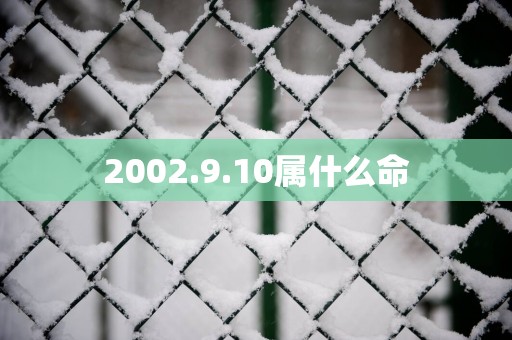 2002.9.10属什么命