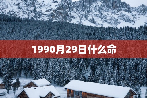 1990月29日什么命